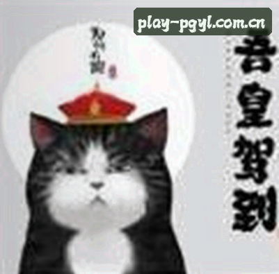 李婷