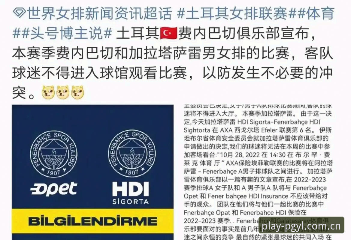 世界杯临近，约旦和土耳其球迷因签证问题无法赴美观赛，这背后反映了什么？